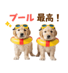 ゴールデンの夏（個別スタンプ：27）