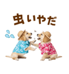 ゴールデンの夏（個別スタンプ：28）