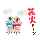 ゴールデンの夏（個別スタンプ：29）
