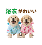 ゴールデンの夏（個別スタンプ：31）