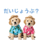 ゴールデンの夏（個別スタンプ：36）