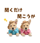 ゴールデンの夏（個別スタンプ：37）