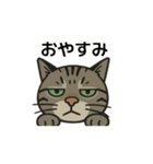 鯖猫ジャックの動画（個別スタンプ：3）