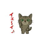 鯖猫ジャックの動画（個別スタンプ：6）