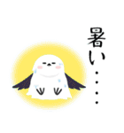 シマエナガジュリーの夏色スタンプ（個別スタンプ：34）