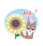 飛び出す！ちびハスキー16【夏】（個別スタンプ：1）
