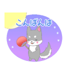 飛び出す！ちびハスキー16【夏】（個別スタンプ：10）