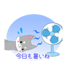 飛び出す！ちびハスキー16【夏】（個別スタンプ：15）
