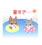 飛び出す！ちびハスキー16【夏】（個別スタンプ：19）