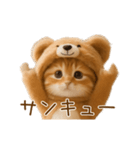 踊る！ネコ！クマの着ぐるみVer（個別スタンプ：13）