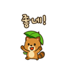 可愛い傘たぬき 韓国語（個別スタンプ：1）