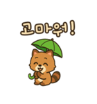 可愛い傘たぬき 韓国語（個別スタンプ：2）