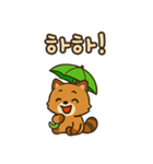 可愛い傘たぬき 韓国語（個別スタンプ：4）