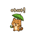 可愛い傘たぬき 韓国語（個別スタンプ：8）