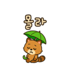 可愛い傘たぬき 韓国語（個別スタンプ：9）