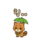 可愛い傘たぬき 韓国語（個別スタンプ：10）