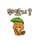 可愛い傘たぬき 韓国語（個別スタンプ：11）