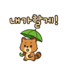 可愛い傘たぬき 韓国語（個別スタンプ：13）