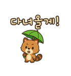 可愛い傘たぬき 韓国語（個別スタンプ：14）