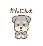 毎日使えるじぶんがわるいシュナの謝罪便り（個別スタンプ：22）