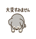 毎日使えるじぶんがわるいシュナの謝罪便り（個別スタンプ：24）