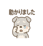 おうえんシュナの元気まるごとスタンプ（個別スタンプ：7）