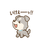 おうえんシュナの元気まるごとスタンプ（個別スタンプ：34）