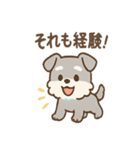 おうえんシュナの元気まるごとスタンプ（個別スタンプ：36）