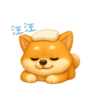 わんで伝える柴犬 TW（個別スタンプ：6）
