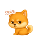 わんで伝える柴犬 TW（個別スタンプ：13）