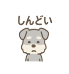 ノーリアクシュナの無感情スタンプ日常編（個別スタンプ：19）
