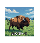 ばふっとバッファロー（個別スタンプ：1）