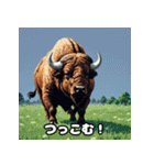 ばふっとバッファロー（個別スタンプ：15）