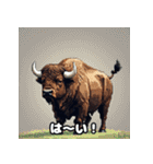 ばふっとバッファロー（個別スタンプ：33）