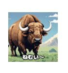 ばふっとバッファロー（個別スタンプ：38）