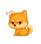 わんで伝える柴犬 JP（個別スタンプ：13）