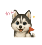 わんで伝えるハスキー JP（個別スタンプ：5）