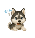 わんで伝えるハスキー JP（個別スタンプ：9）