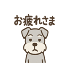 ノーリアクシュナの淡々リアクション日常編（個別スタンプ：11）