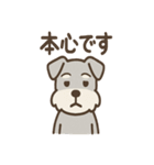 ノーリアクシュナの淡々リアクション日常編（個別スタンプ：18）