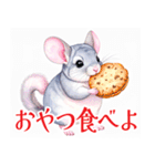 大人可愛いチンチラの敬語スタンプ（個別スタンプ：22）