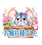 大人可愛いチンチラの敬語スタンプ（個別スタンプ：33）
