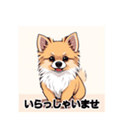 ペットのミックス犬（個別スタンプ：6）