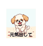 ペットのミックス犬（個別スタンプ：29）