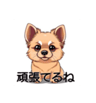 ペットのミックス犬（個別スタンプ：36）