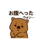 かわいいウォンバット8（個別スタンプ：1）