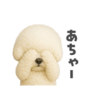 ビジョンフリーゼに癒されたい（個別スタンプ：5）