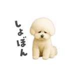 ビジョンフリーゼに癒されたい（個別スタンプ：8）