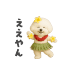 ビジョンフリーゼに癒されたい（個別スタンプ：21）
