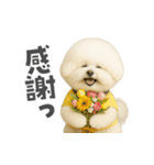 ビジョンフリーゼに癒されたい（個別スタンプ：28）